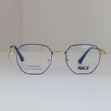 NICE - VN240328
