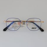 NICE - VN240328