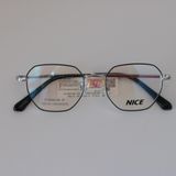 NICE - VN240329