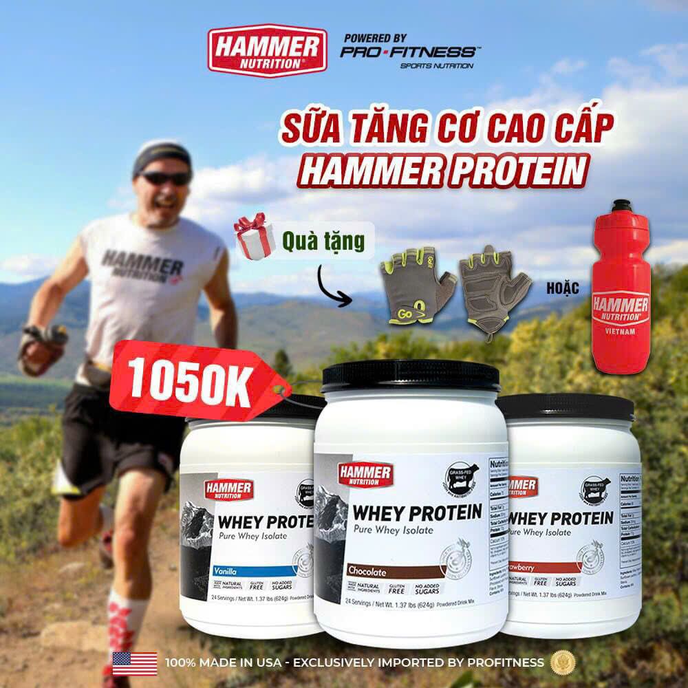 Sữa Whey Protein Hammer Nutrition 24 serving - Whey Isolate duy trì và phục hồi cơ nhanh chóng