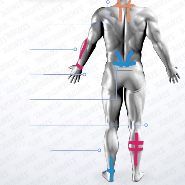 Băng Dán Thể Thao Giữ Cơ WRELS Hỗ Trợ Phục Hồi Cao Cấp