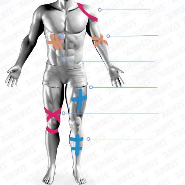 Băng Dán Thể Thao Giữ Cơ WRELS Hỗ Trợ Phục Hồi Cao Cấp