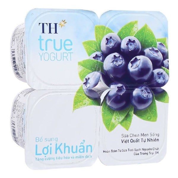 SCAMS Việt Quất TH true YOGURT 100gx48C