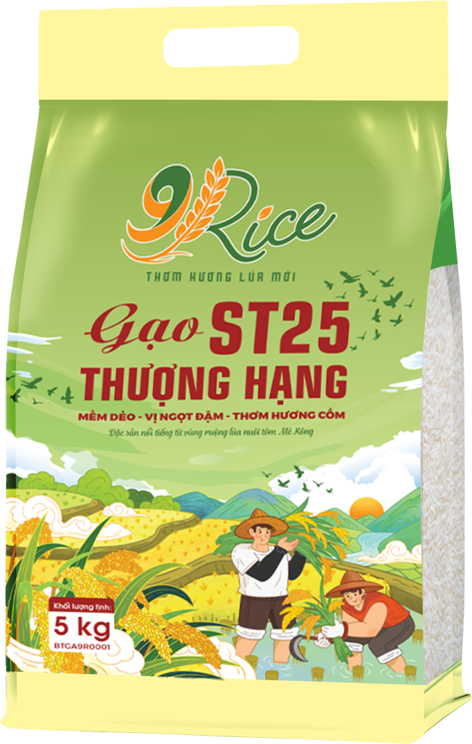 Gạo 9RICE ST25 Thượng Hạng 5kg (4 túi/bao)