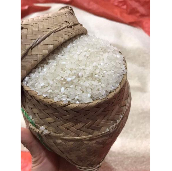 Gạo nếp đặc sản Homefood 1500g