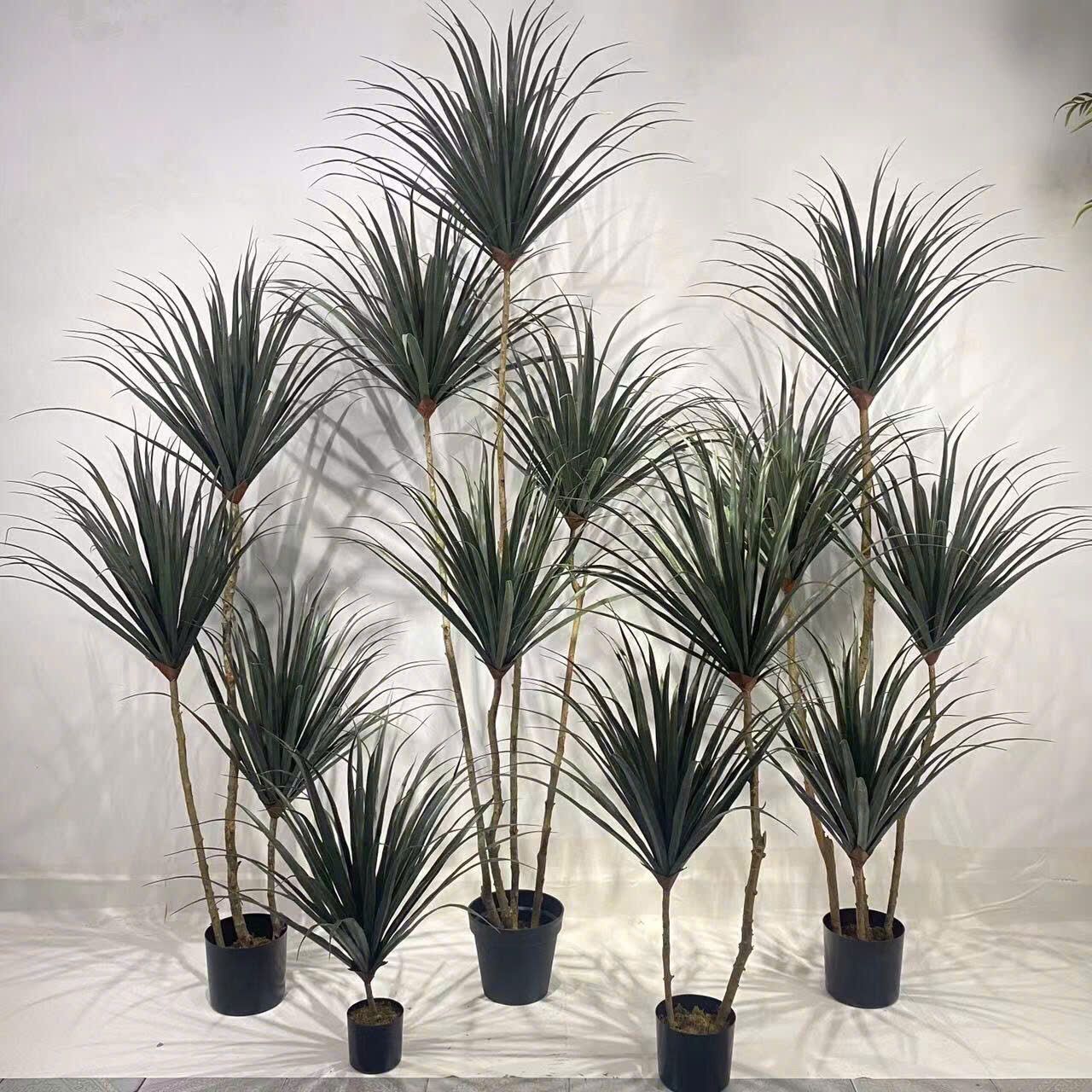 Cây Giả Huyết Long - Trang Trí Nội Thất & Văn Phòng Sang Trọng
