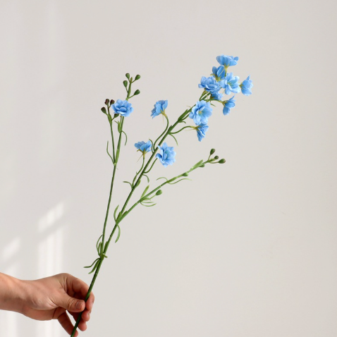 Hoa Violet & Lan Hồ Điệp Cao Cấp
