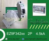 Automat 2P 4.5kA - Át tô mát 2 pha 4.5kA - Automat 2P EZ9F Schneider
