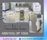 Automat Khối LS MCCB ABN103c 3P 100A - MCCB ABN103c 3P 100A - LS ABN 3P 100A