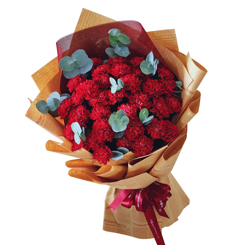 Bó Hoa Cẩm Chướng Đỏ - 8756
