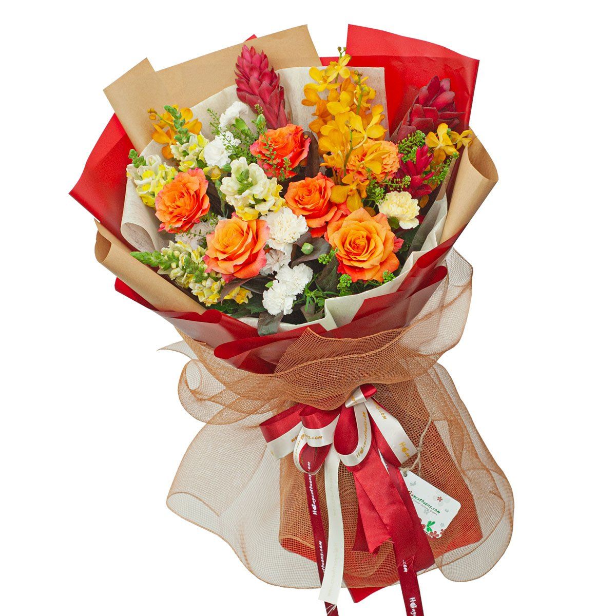 Tỏa Sáng 2 - 13286