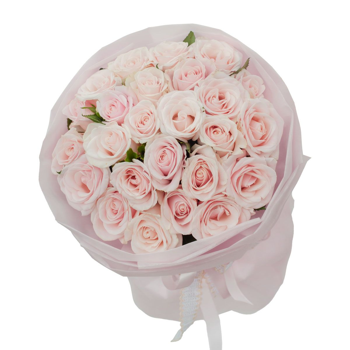 Only Rose 6 (Size 30 bông) - 8387