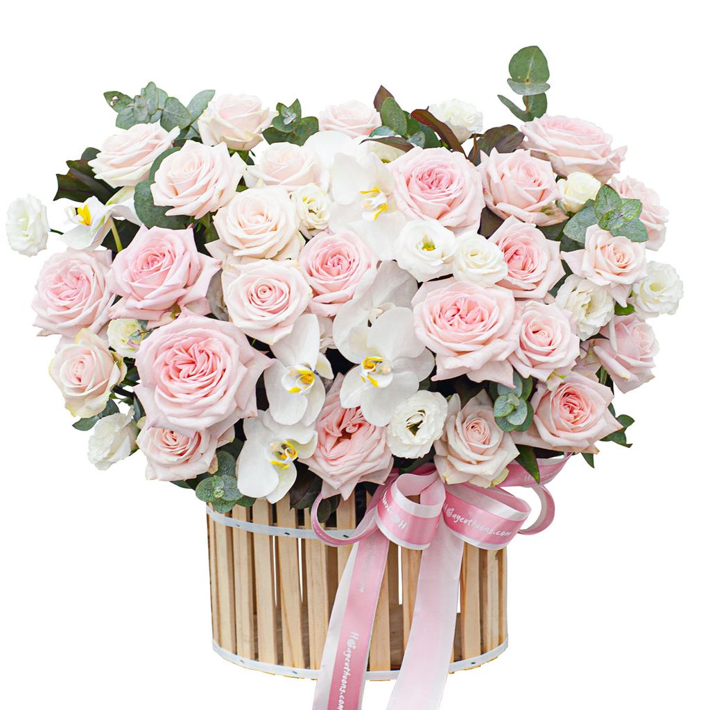 Rosa Grace - 14457