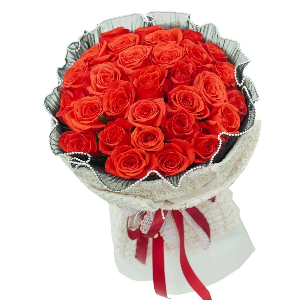 Only Rose Premium 2 (Size 30 bông) - 13276