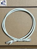 N101.11ECGG - Dây nhảy Essential-6 Cat 6,không chống nhiễu, PVC 1m, màu xám