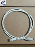 N101.11ECGG - Dây nhảy Essential-6 Cat 6,không chống nhiễu, PVC 1m, màu xám