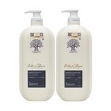 Combo Dầu Gội Xả Phục Hồi, Kích Thích Mọc Tóc Biotin & Collagen Pasiori Professional 1l