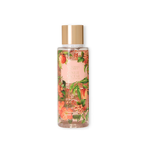 HXT – Xịt Thơm Body Victoria's Secret Sunlit Nectar Fragrance Mist 250ml