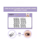 Lông Mi Giả Jary Mi Cụm Tự Nhiên - C4 Idol