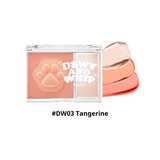 Má Hồng Dạng Kem Kèm Highlight Black Rouge Dewy Whip Cheek And Beam 11.5g #DW03 Tangerine