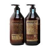Combo Dầu Gội Xả Phục Hồi Tóc Khô Và Hư Tổn Haneda Collagen 500ml