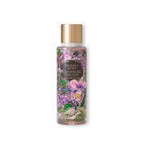 HXT – Xịt Thơm Body Victoria's Secret Cashmere Orchid Fragrance Mist 250ml