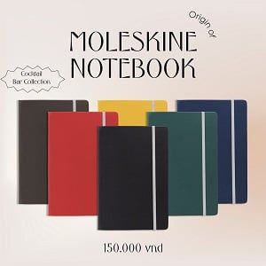 Sổ tay MOLESKINE 03 - Mist Xám