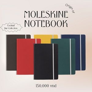 Sổ tay MOLESKINE 06 - Terra Cotta Cam