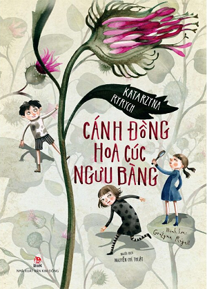 Cánh Đồng Hoa Cúc Ngưu Bàng - Katarzyna Ryrych