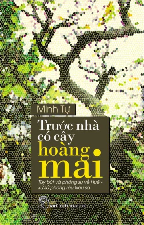 Trước Nhà Có Cây Hoàng Mai