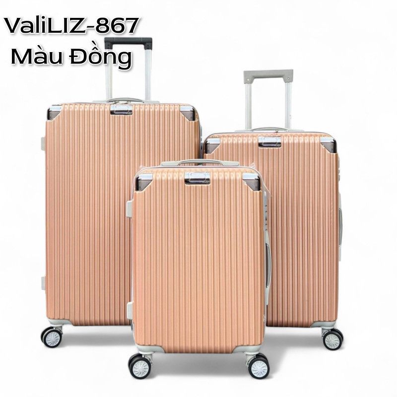 MS867-Đồng