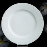 Đĩa phíp tròn trắng D100 đường kính 25 cm