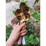 Thìa inox mạ vàng ăn cơm
