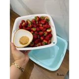 Bộ 3 rổ nhựa vuông kèm chậu Ecco