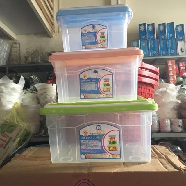 Hộp nhựa đựng thực phẩm có 2 quai xách Việt Nhật
