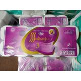 Giấy vệ sinh Hà Nội có lõi/ không lõi hàng nặng cân bịch 10 cuộn