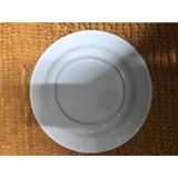 Đĩa phíp tròn trắng D100 đường kính 25 cm