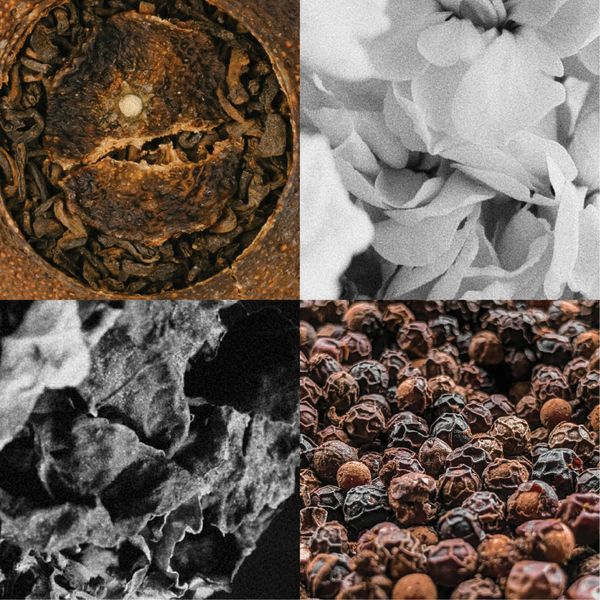 ORANGE PU'ER TEA / SCENTED OIL FOR PAINTING