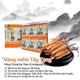 A228 - Nước đông trùng hạ thảo Sajim 70ml x 30 gói