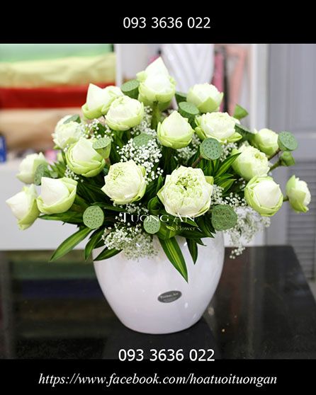 Bình Hoa Sen Việt - S85