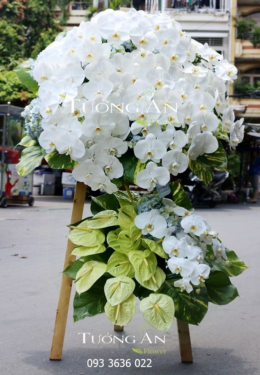 Kệ Hoa Tang Lời Chia Tay - S340