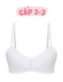  Áo ngực học sinh iBasic cotton USA kháng khuẩn cài sau - VA107 