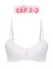  Áo ngực học sinh iBasic cotton USA kháng khuẩn cài sau - VA107 