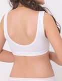  Áo ngực học sinh iBasic phối ren cotton USA kháng khuẩn - BRAT003 