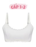  Áo ngực học sinh iBasic cotton viền ren - BRAT005 