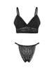  Bra Set Áo ngực bralette ren V Deep và Quần lót ren bikini Freezise iBasic BRAY097, PANY097 