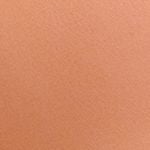  [NUDE TONE] Bra Set áo ngực nữ iBasic có gọng mút vừa và Quần lót nữ iBasic thun lạnh Smoothies bikini BRAW130+PANW130 