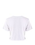  Đồ bộ mặc nhà nữ iBasic cotton rib croptop quần đùi - HOMY042 