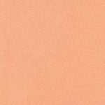  Quần lót nữ iBasic lưng cao trơn cotton USA kháng khuẩn - PANW147C 