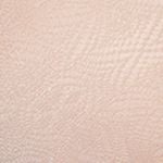  Áo ngực mút mỏng iBasic không gọng - VA029 